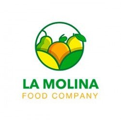logo-molina