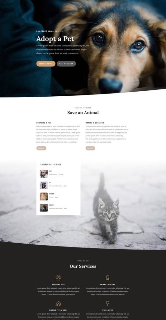 animal-shelter-landing-page-533x2223